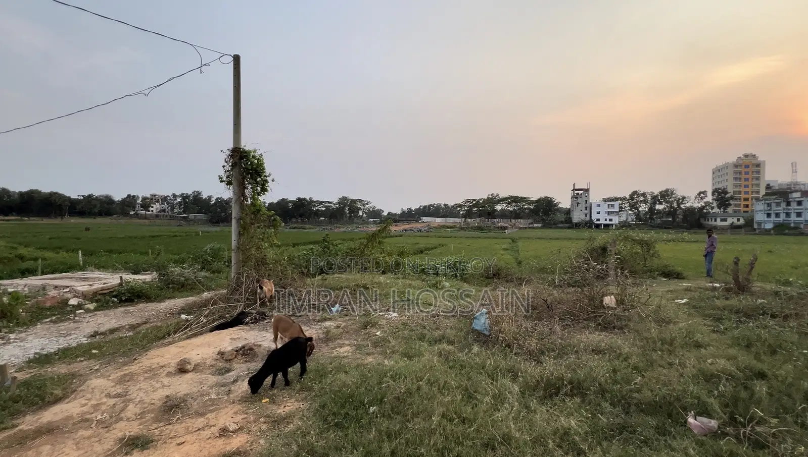 গাজীপুরে বিক্রির জন্য জমি