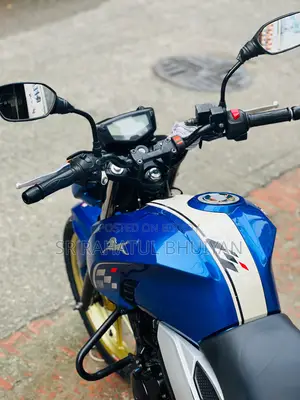 টিভিএস আপাচে আরটিআর ১৬০ ৪ভি ২০২১ নীল