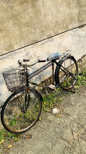 Phoenix Old Model Bangla Cycle
