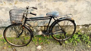 Phoenix Old Model Bangla Cycle
