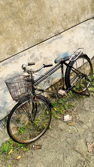 Phoenix Old Model Bangla Cycle