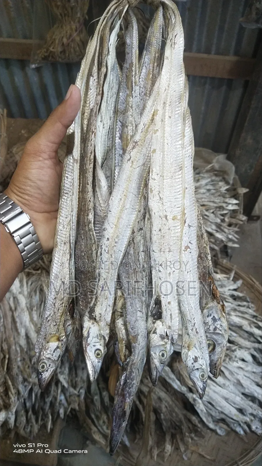 ছুরি শুটকি