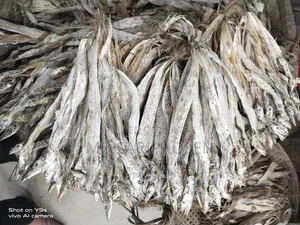 ছুরি শুটকি