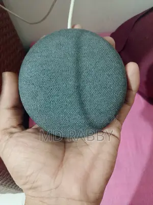 গুগল নেস্ট মিনি (২য় প্রজন্ম)