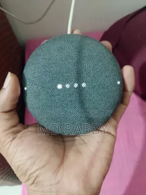 গুগল নেস্ট মিনি (২য় প্রজন্ম)
