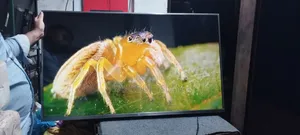 Mi TV for Sale