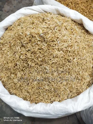 চিংড়ি শুটকি