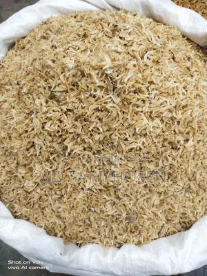 চিংড়ি শুটকি