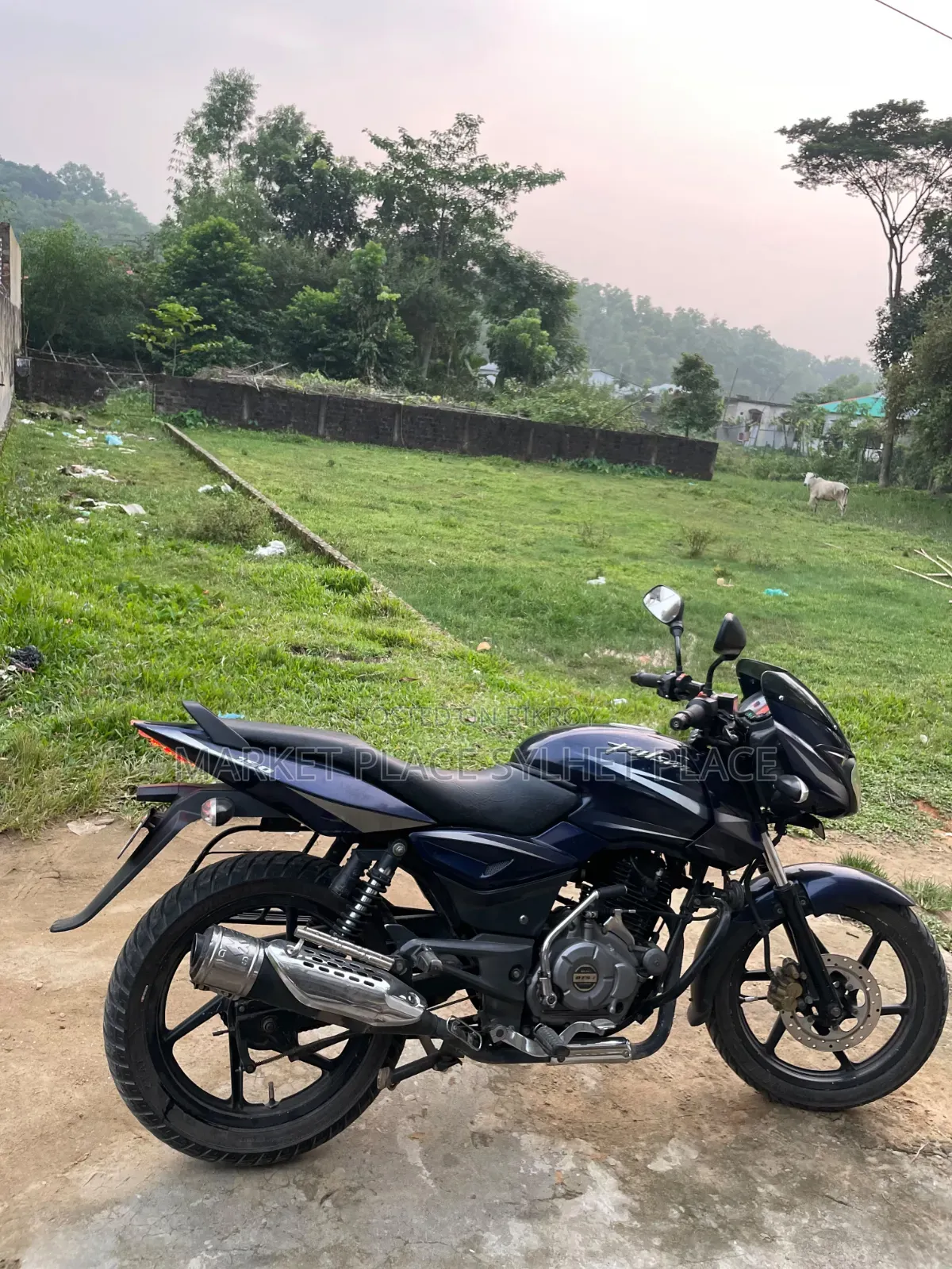Bajaj Pulsar 150 2018 Blue