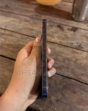 অ্যাপল আইফোন ১৩ প্রো ২৫৬ জিবি নীল