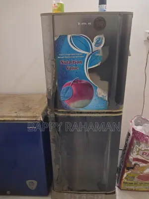 হিটাচি ফ্রিজ এবং ওয়ালটন ফ্রিজ