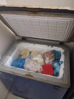 হিটাচি ফ্রিজ এবং ওয়ালটন ফ্রিজ