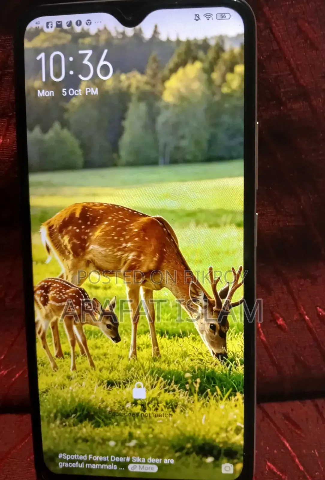 New Vivo Y19 128 GB