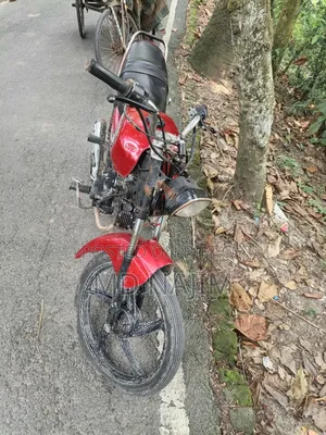 Bajaj Platina 100 2010 Red