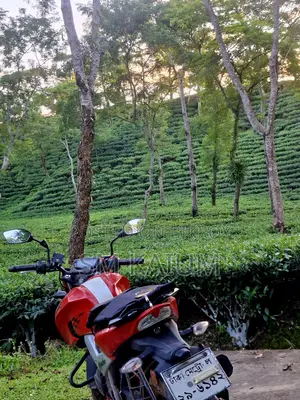 টিভিএস আপাচি ১৬০ ৪ভি ২০১৯ লাল