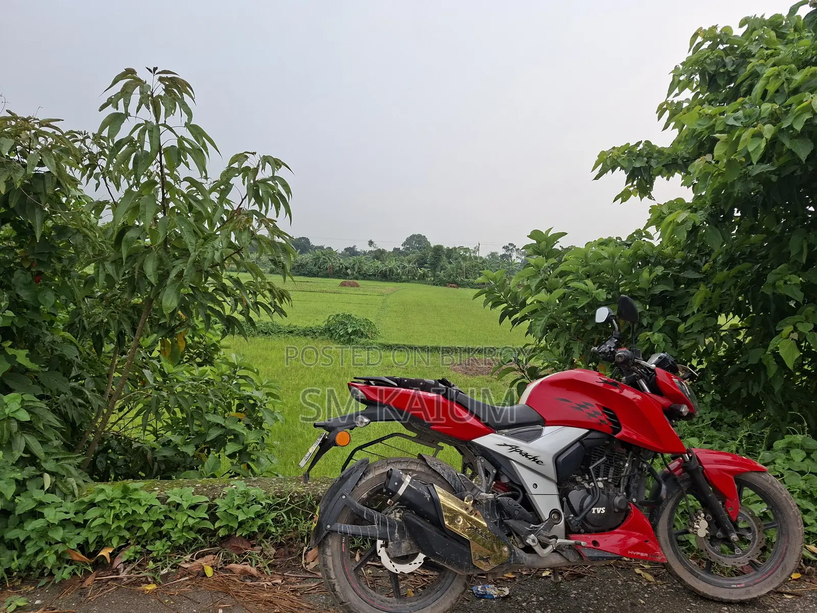 টিভিএস আপাচি ১৬০ ৪ভি ২০১৯ লাল