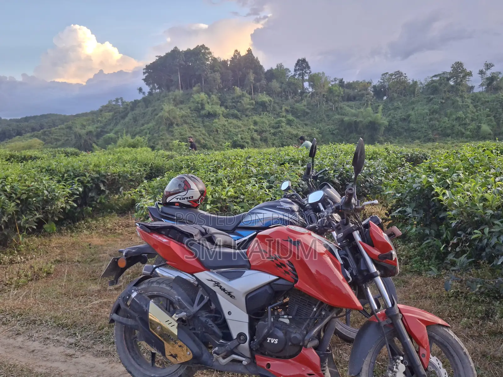 টিভিএস আপাচি ১৬০ ৪ভি ২০১৯ লাল