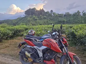 টিভিএস আপাচি ১৬০ ৪ভি ২০১৯ লাল