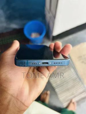 অ্যাপল আইফোন ১৩ ২৫৬ জিবি নীল