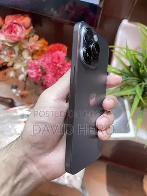 Apple iPhone 15 Pro Max 256 GB Black
