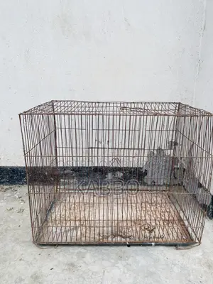 2 Pieces Cage