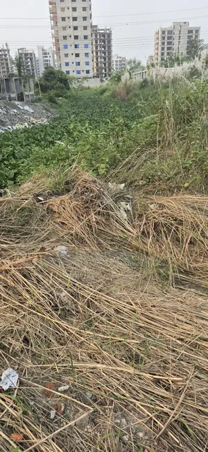 রাজউক পূর্বাচল সেক্টর-২৭ পূর্বমুখী সরকারি চাকরিজীবী ক্যাটাগরির প্লট বিক্রি