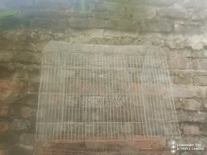 Bird Cage Urgently For Sale