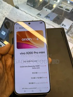 Vivo X200 Pro mini 512 GB