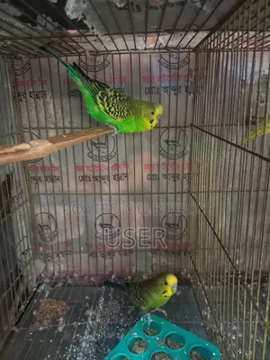 বাজারিকা মেল