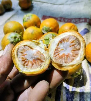 Raw and Dry Betel Nuts Available, 3 BDT Each