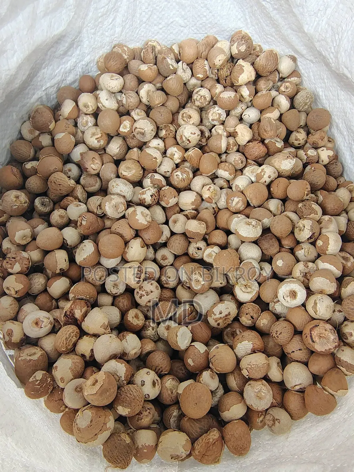 Raw and Dry Betel Nuts Available, 3 BDT Each