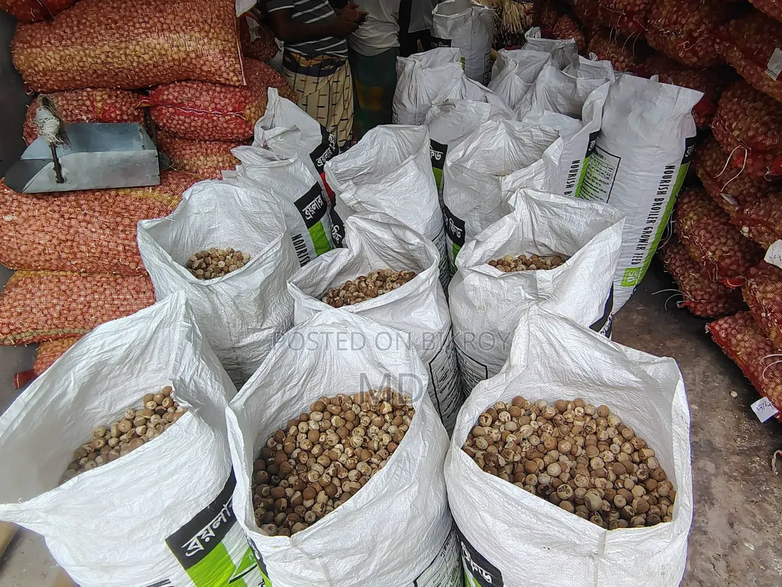 Raw and Dry Betel Nuts Available, 3 BDT Each