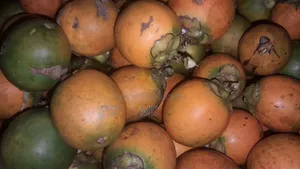 Raw and Dry Betel Nuts Available, 3 BDT Each