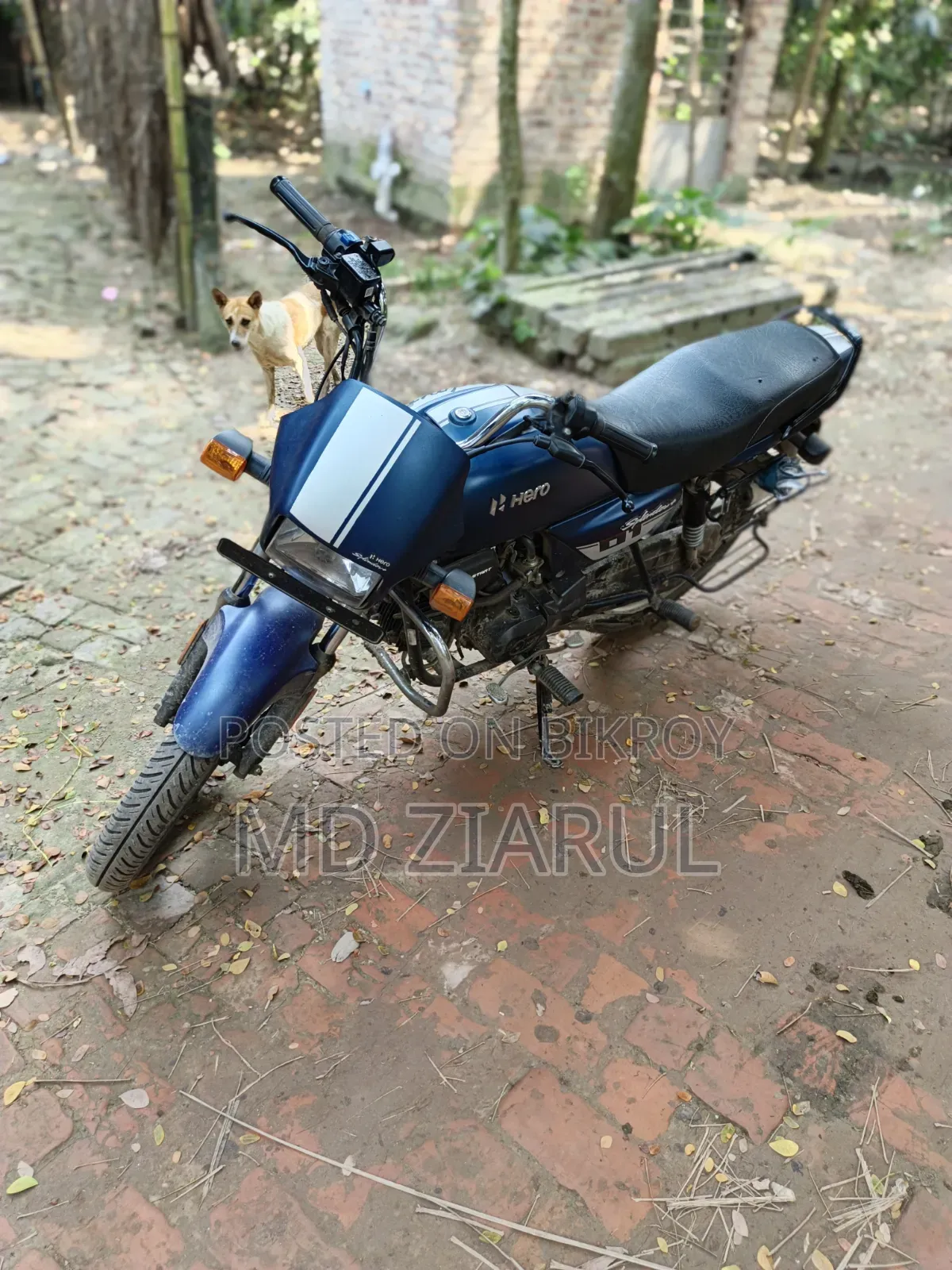 Hero Splendor Plus 2026 Purple