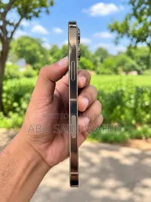 অ্যাপল আইফোন ১৩ প্রো ম্যাক্স ২৫৬ জিবি গোল্ড