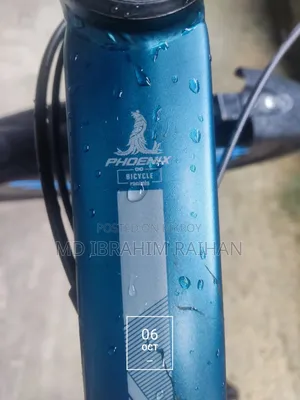 Phoenix Bicycle