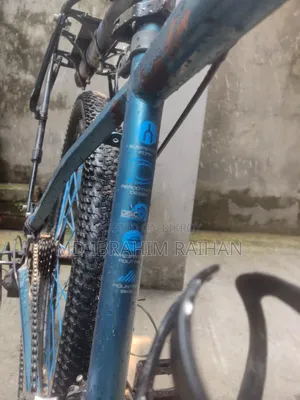 Phoenix Bicycle