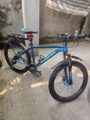 Phoenix Bicycle