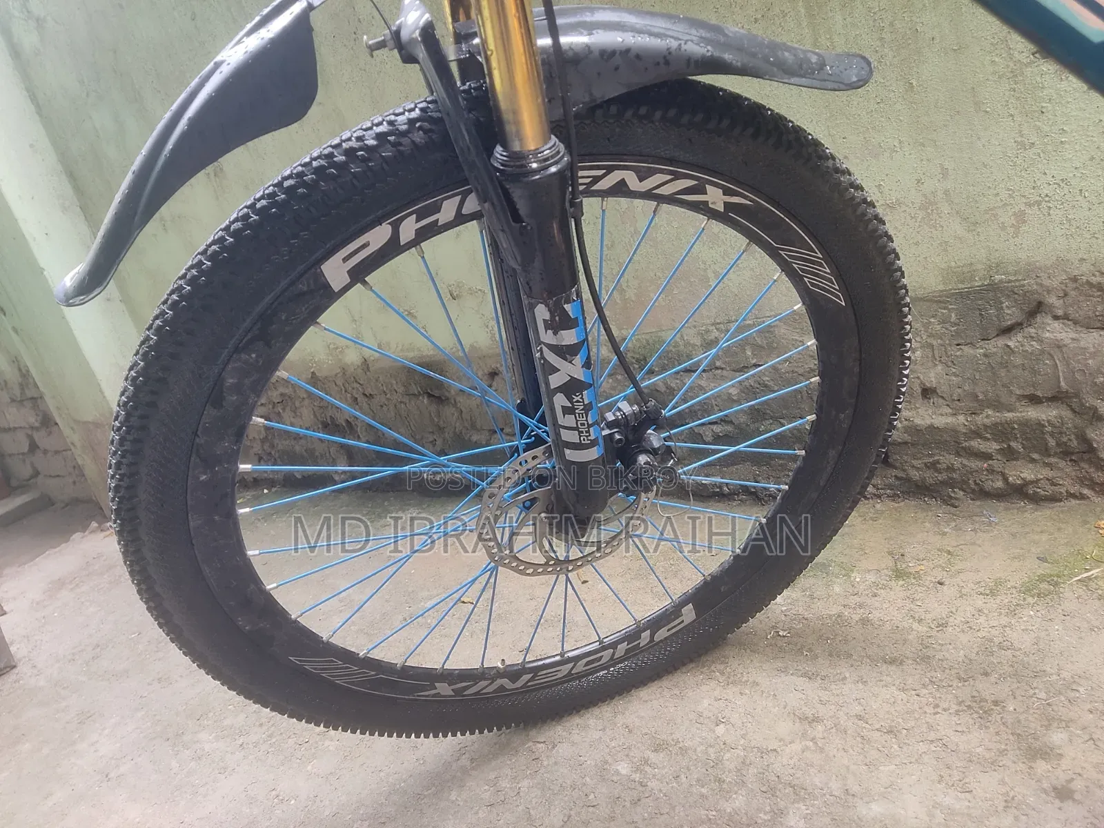 Phoenix Bicycle