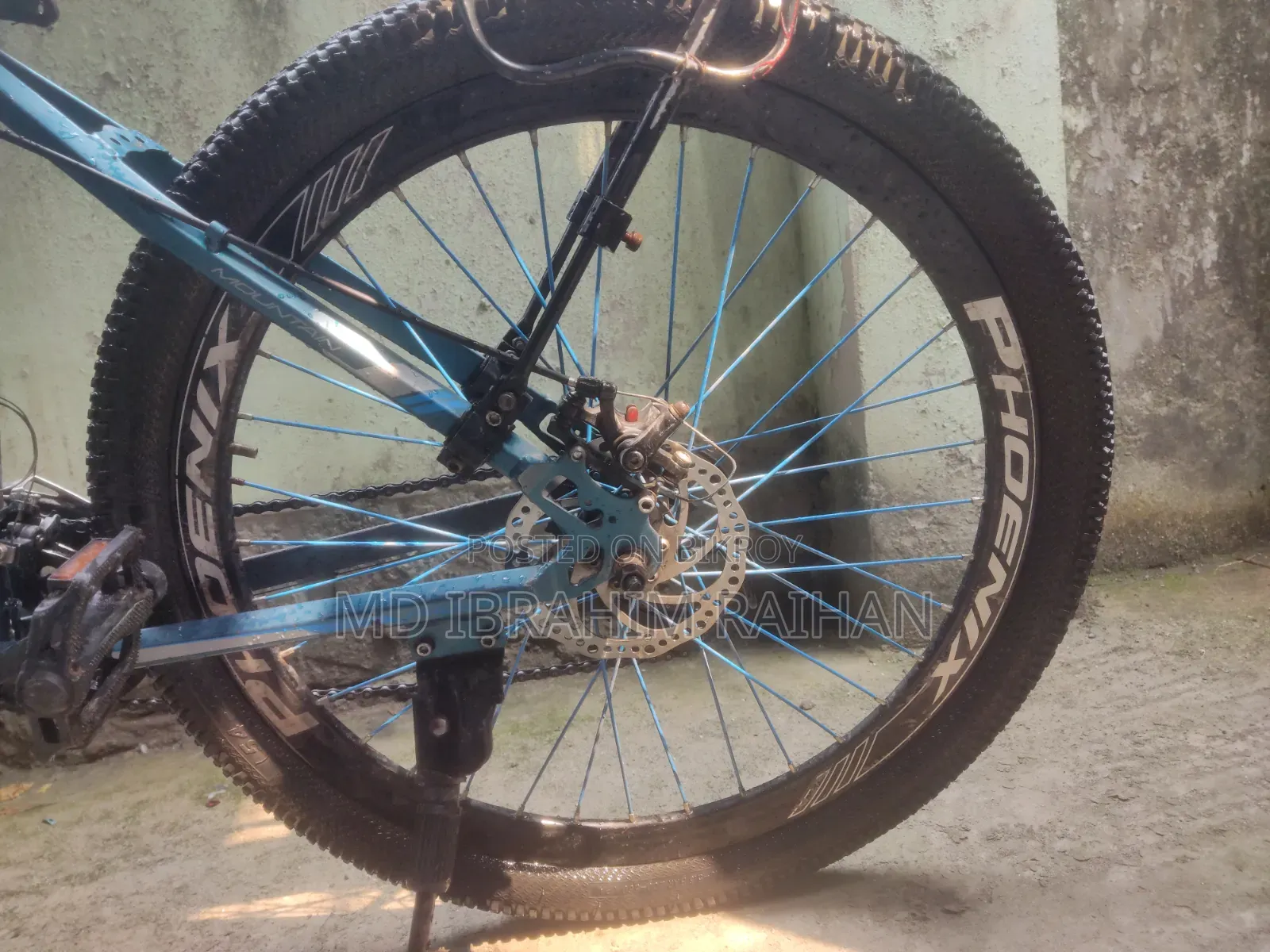 Phoenix Bicycle