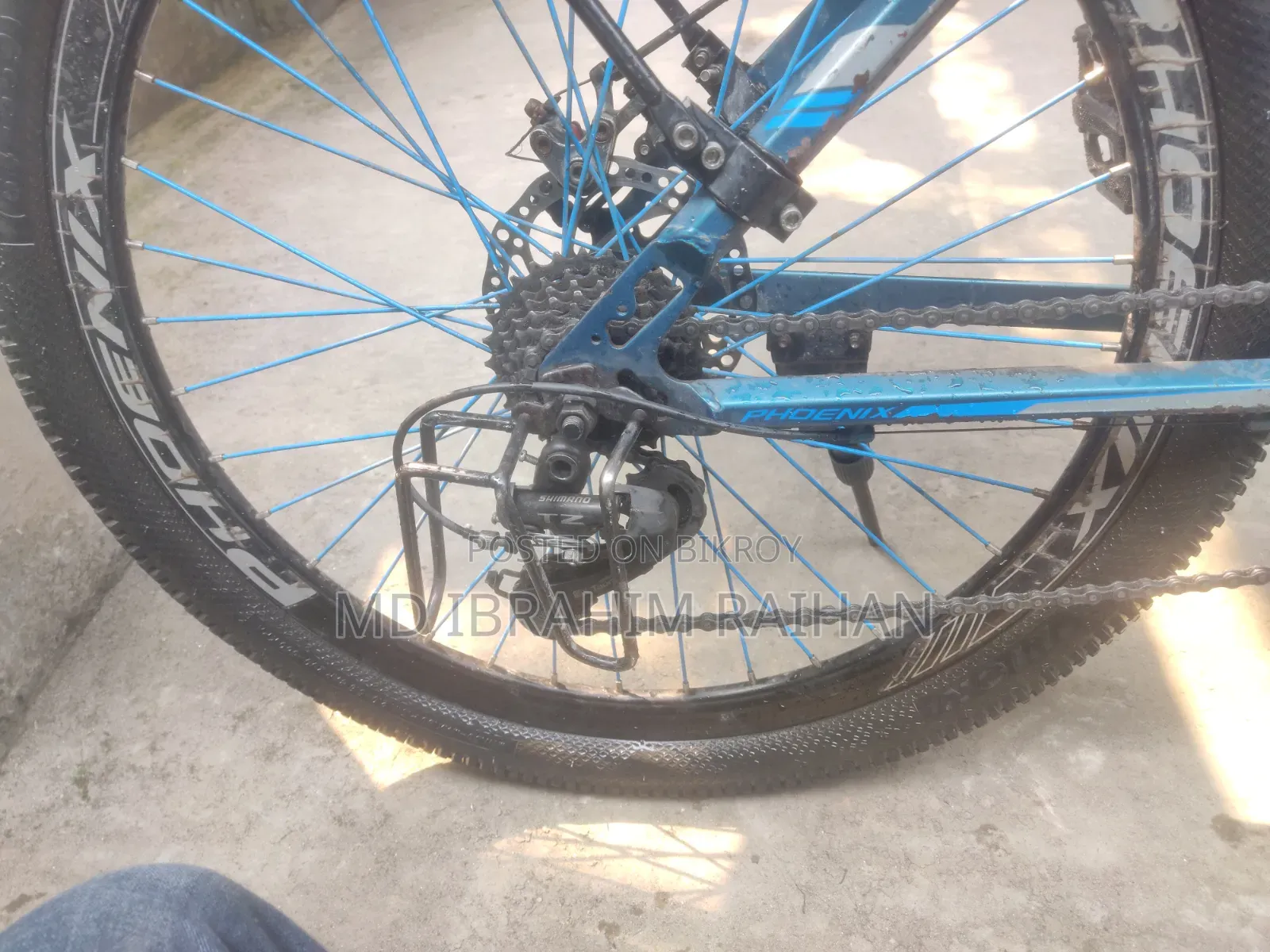 Phoenix Bicycle