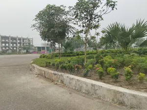 3 katha south facing corner plot for sale in Sector 9.