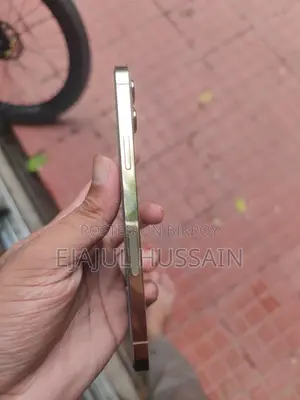 অ্যাপল আইফোন ১২ প্রো ম্যাক্স ১২৮ জিবি গোল্ড