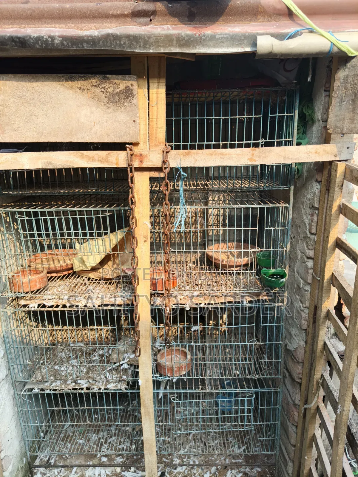 Bird or Pigeon Cage