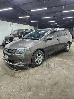 Toyota Axio 1.5 X 2WD 2009 Gray