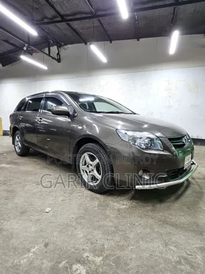 Toyota Axio 1.5 X 2WD 2009 Gray