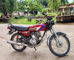 হোন্ডা সিজি১১০ ২০০৩ রেড