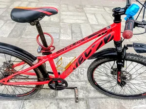 Running Cycle