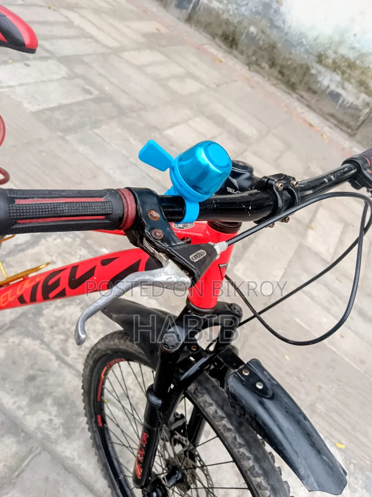 Running Cycle