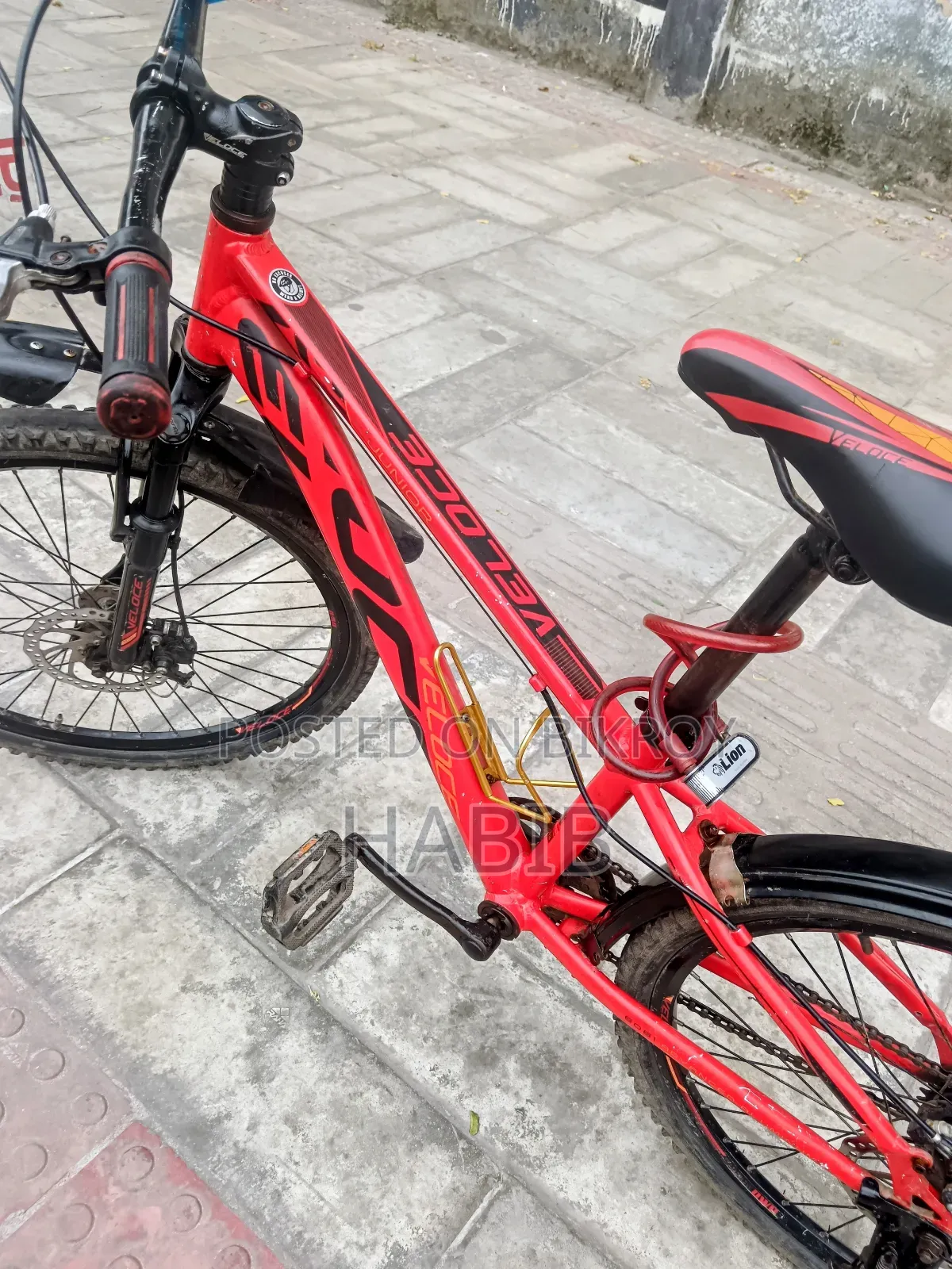 Running Cycle